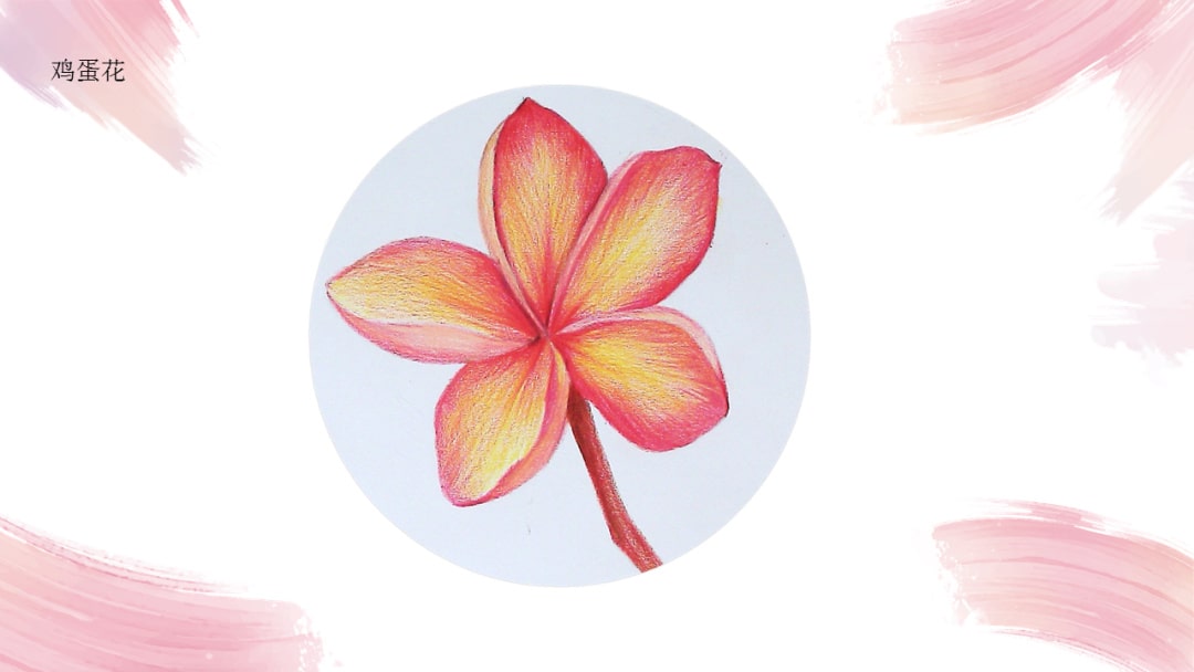 幼儿园中班艺术教案：鸡蛋花（含PPT课件图片）