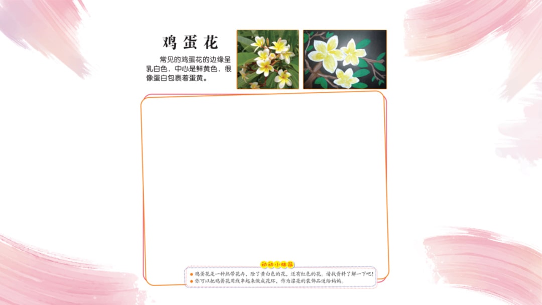 幼儿园中班艺术教案：鸡蛋花（含PPT课件图片）