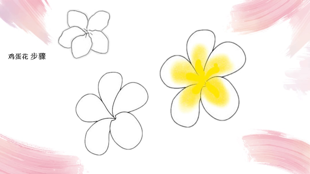 幼儿园中班艺术教案：鸡蛋花（含PPT课件图片）