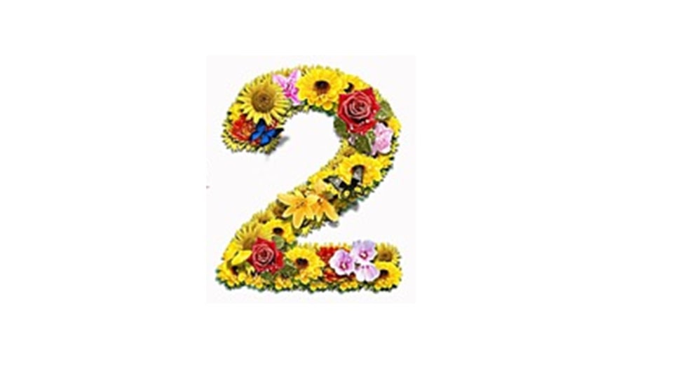 幼儿园中班美术教案：数字变变变（含PPT课件图片）