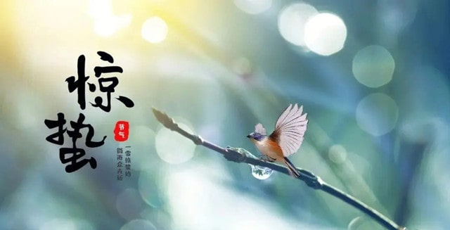 大雪不冻惊蛰不开什么意思