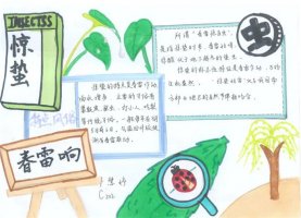 24节气惊蛰手抄报简单又好看（精选11张）