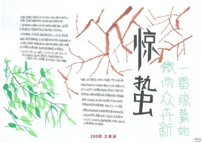 24节气惊蛰手抄报简单又好看