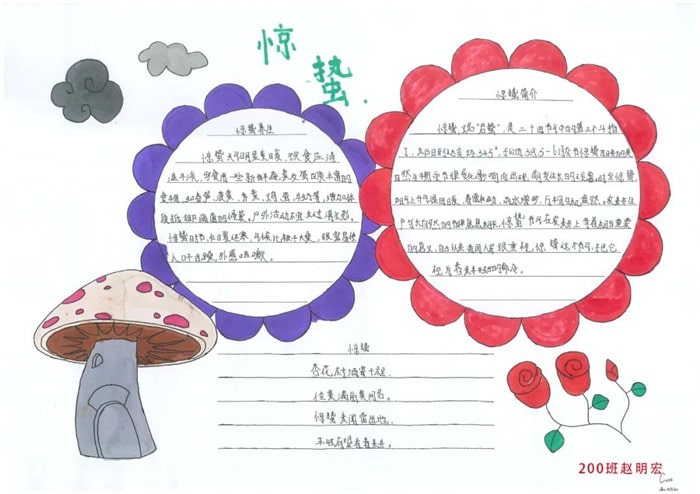 24节气惊蛰手抄报简单又好看