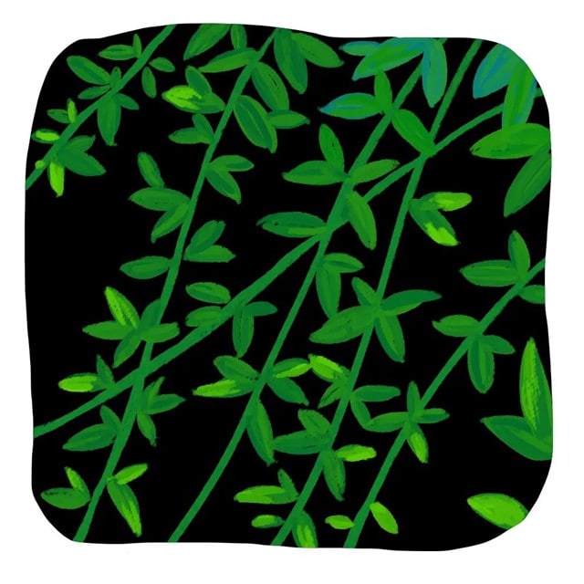 儿童画春天之迎春花