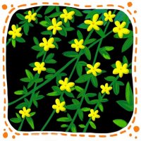 儿童画春天之迎春花