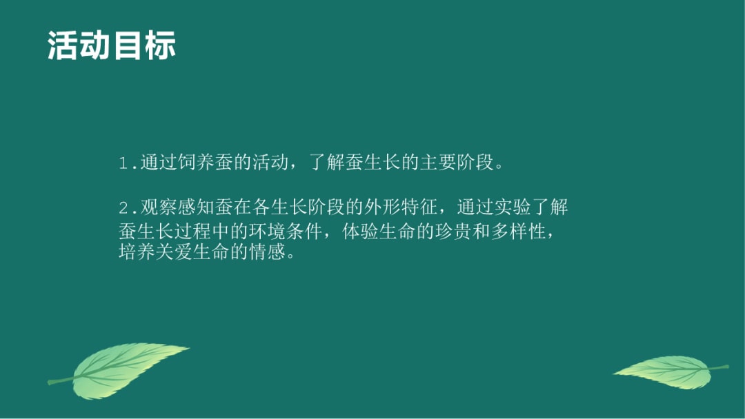 幼儿园大班科学教案：蚕的一生（含PPT课件图片）