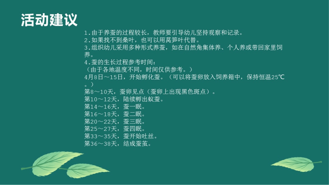 幼儿园大班科学教案：蚕的一生（含PPT课件图片）