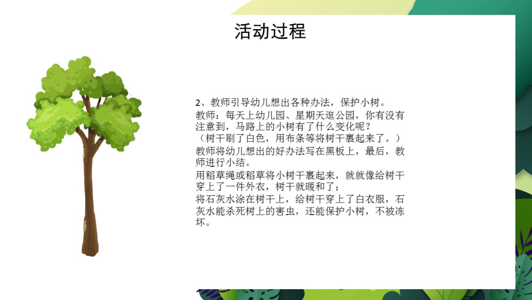 幼儿园大班植树节教案：用心爱护小苗苗（含PPT课件图片）