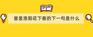 曾是洛阳花下客的下一句是什么