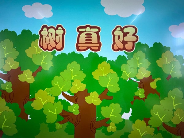 树真好教学反思