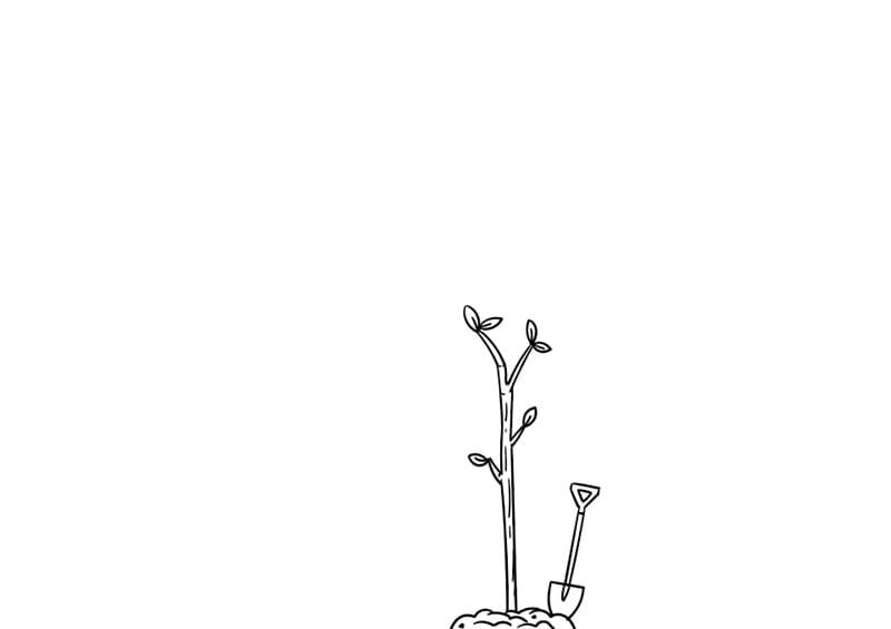 植树节手抄报怎么画简单好看