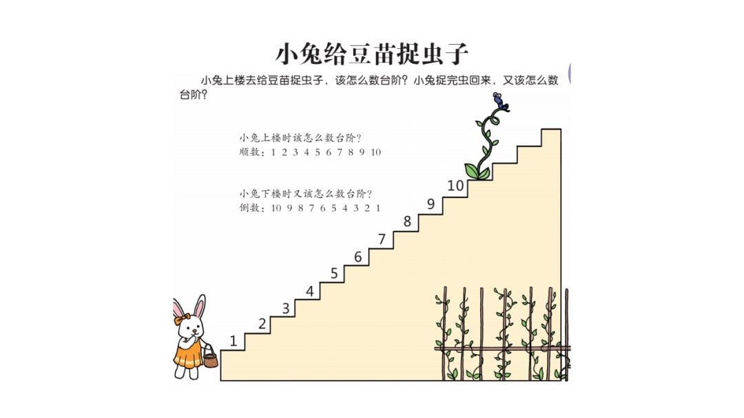 幼儿园大班数学教案：小兔给豆苗捉虫子