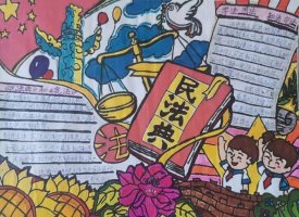 宪法伴我成长手抄报一等奖图片（精选10张）