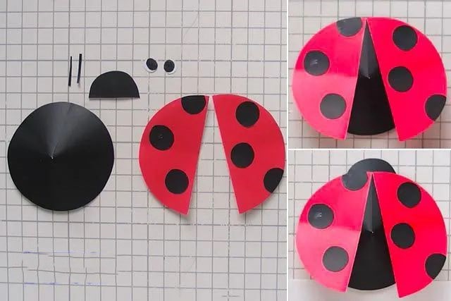 幼儿园春天主题墙面装饰：七星瓢虫剪贴画(步骤图解)