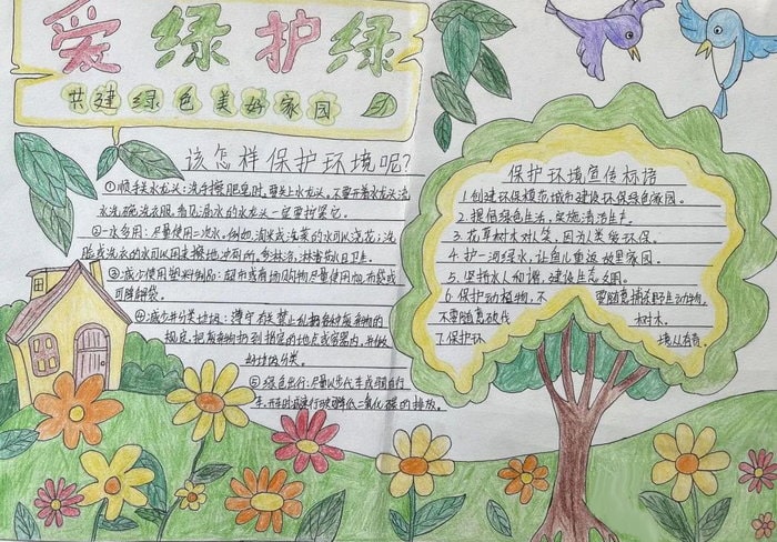 爱绿护绿从我做起手抄报图片