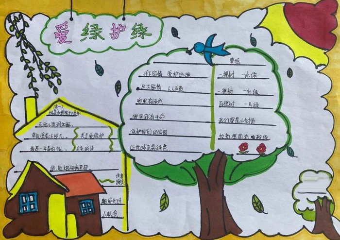 爱绿护绿从我做起手抄报图片
