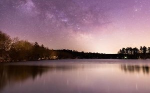 写作文的技巧：抒发真情实感小窍门，远离文章