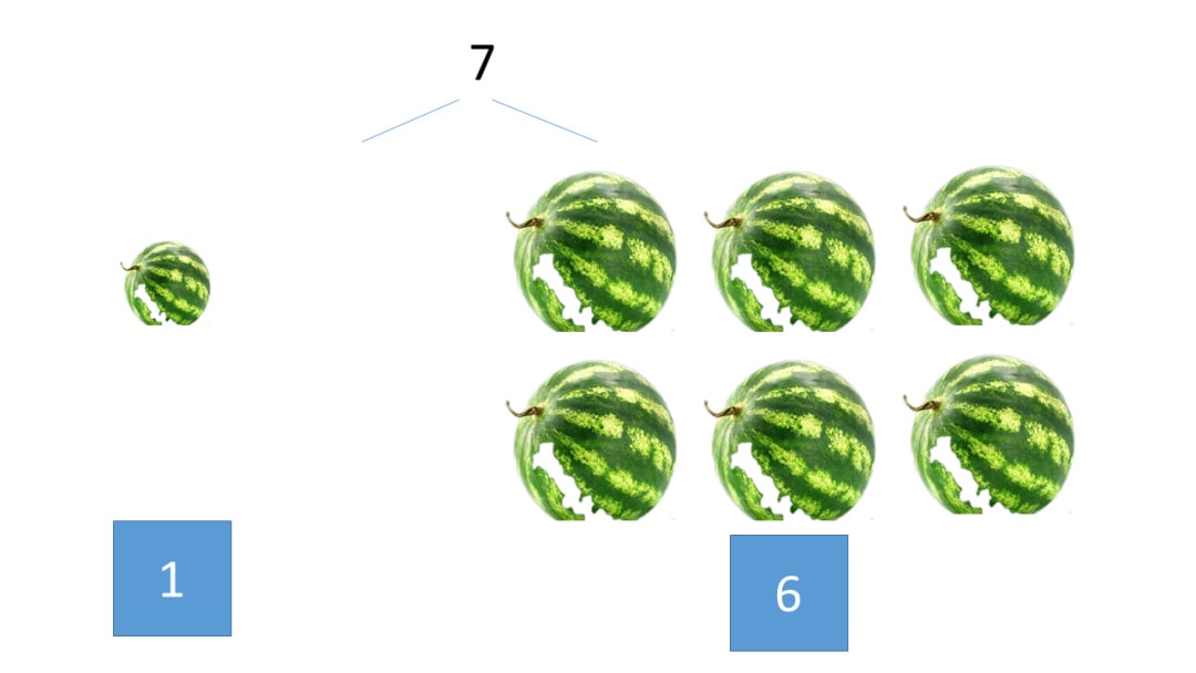 幼儿园大班科学教案：鸟语花香（含PPT课件图片）
