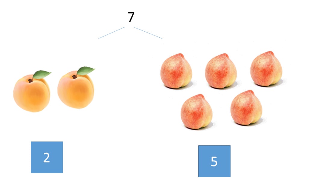 幼儿园大班科学教案：鸟语花香（含PPT课件图片）