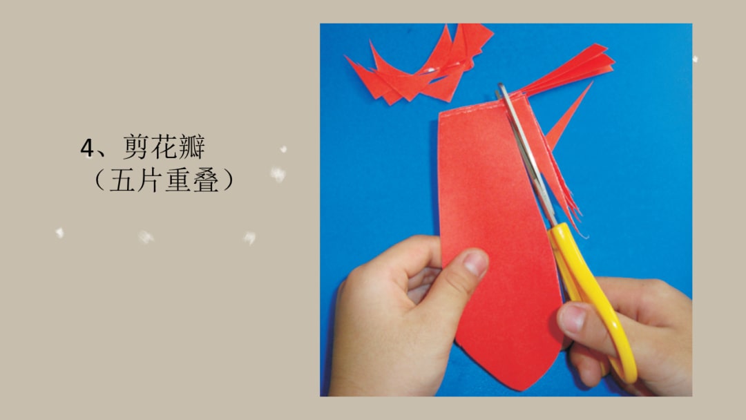 幼儿园大班手工活动教案：木棉花（含PPT课件图片）