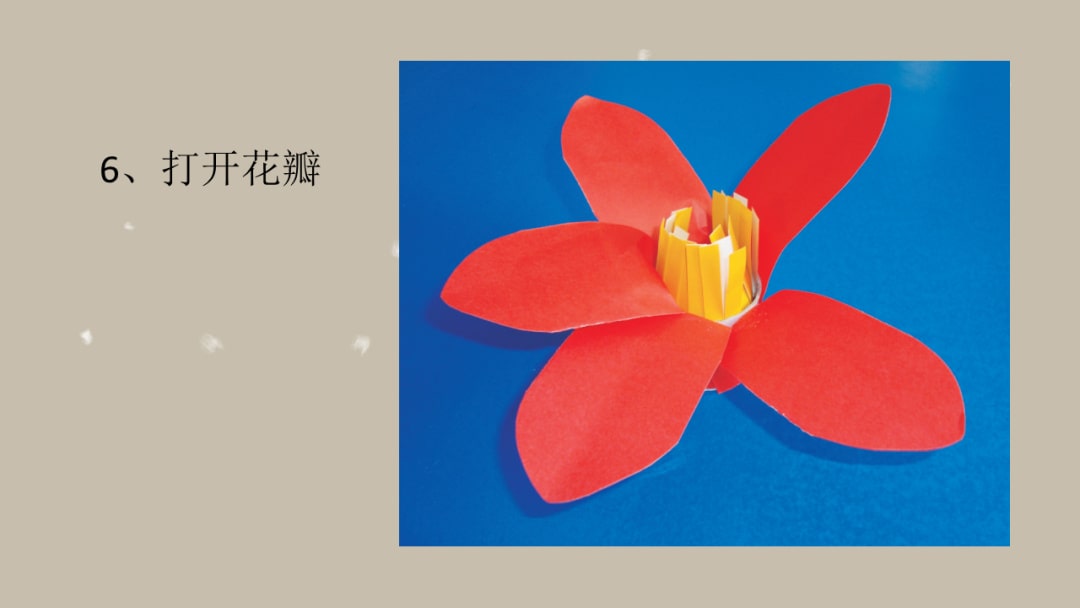 幼儿园大班手工活动教案：木棉花（含PPT课件图片）