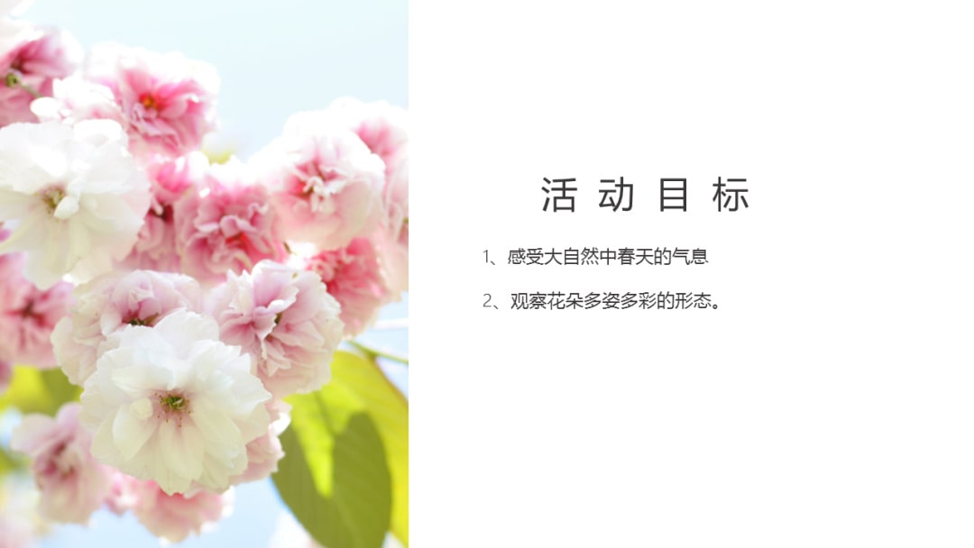 幼儿园中班科学教案：寻找春天的花