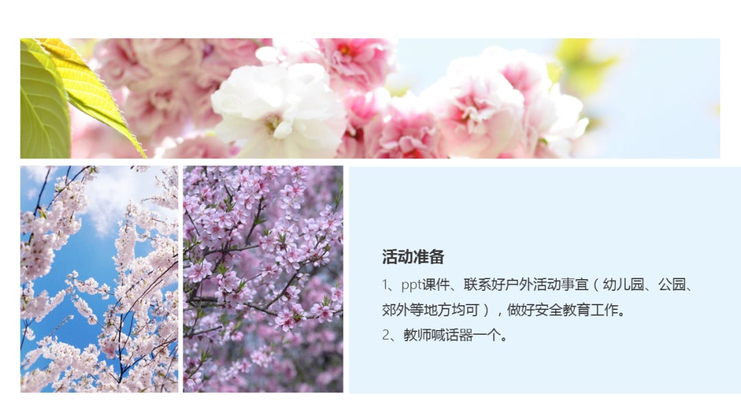 幼儿园中班科学教案：寻找春天的花