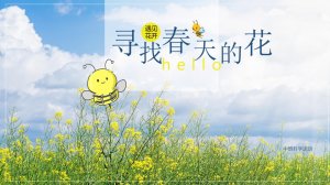 幼儿园中班科学教案：寻找春天的花（含PPT课件