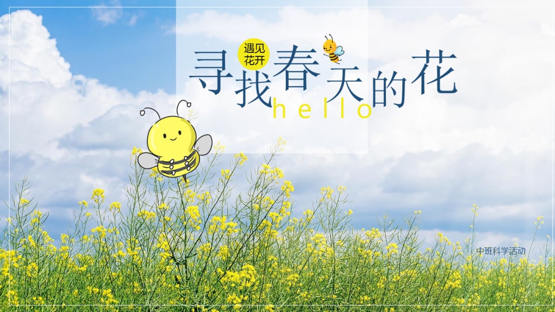 幼儿园中班科学教案：寻找春天的花