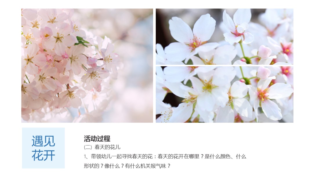 幼儿园中班科学教案：寻找春天的花