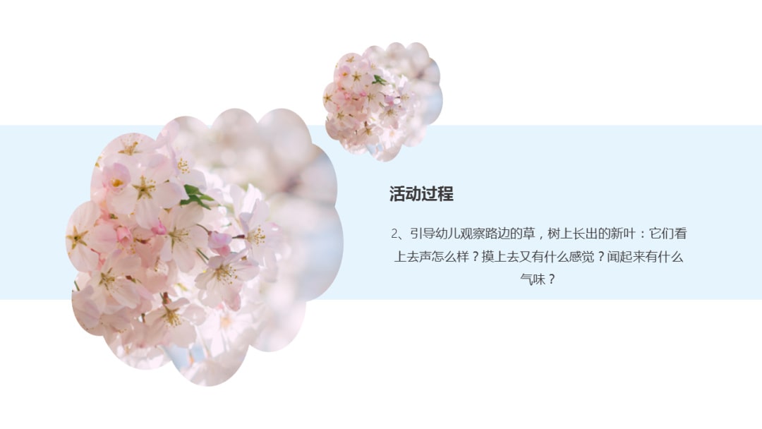 幼儿园中班科学教案：寻找春天的花