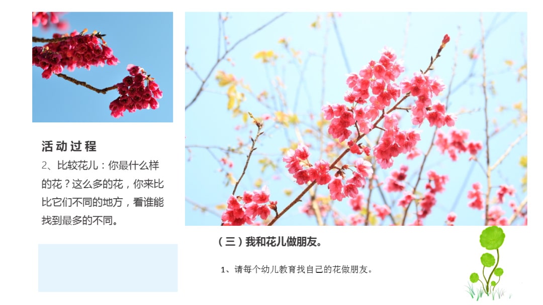 幼儿园中班科学教案：寻找春天的花