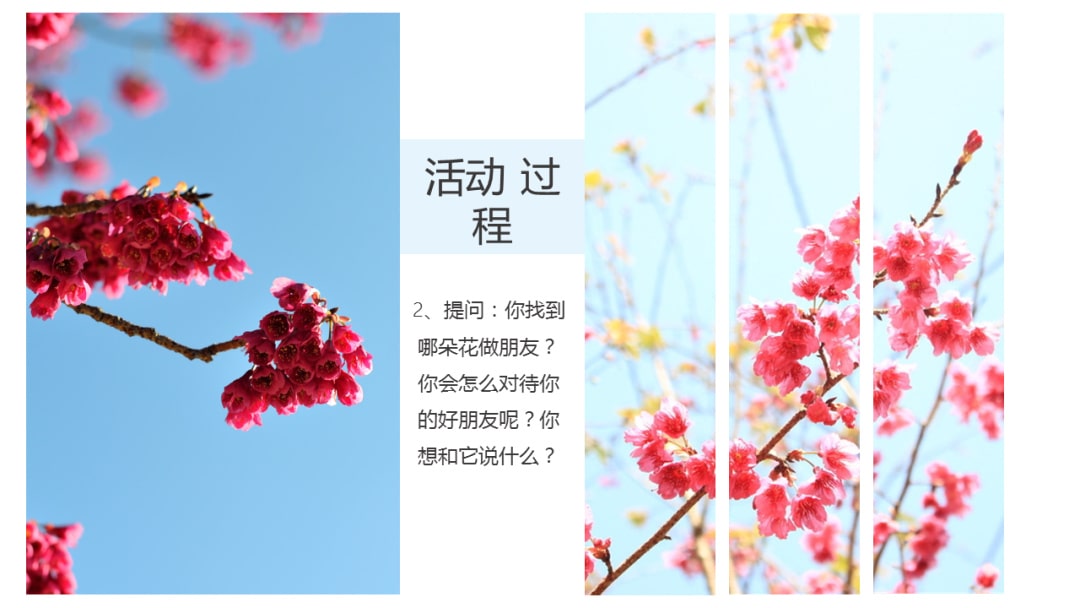 幼儿园中班科学教案：寻找春天的花