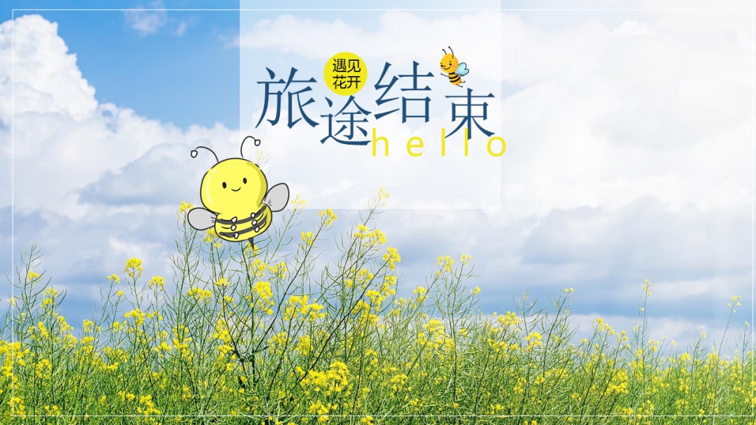 幼儿园中班科学教案：寻找春天的花