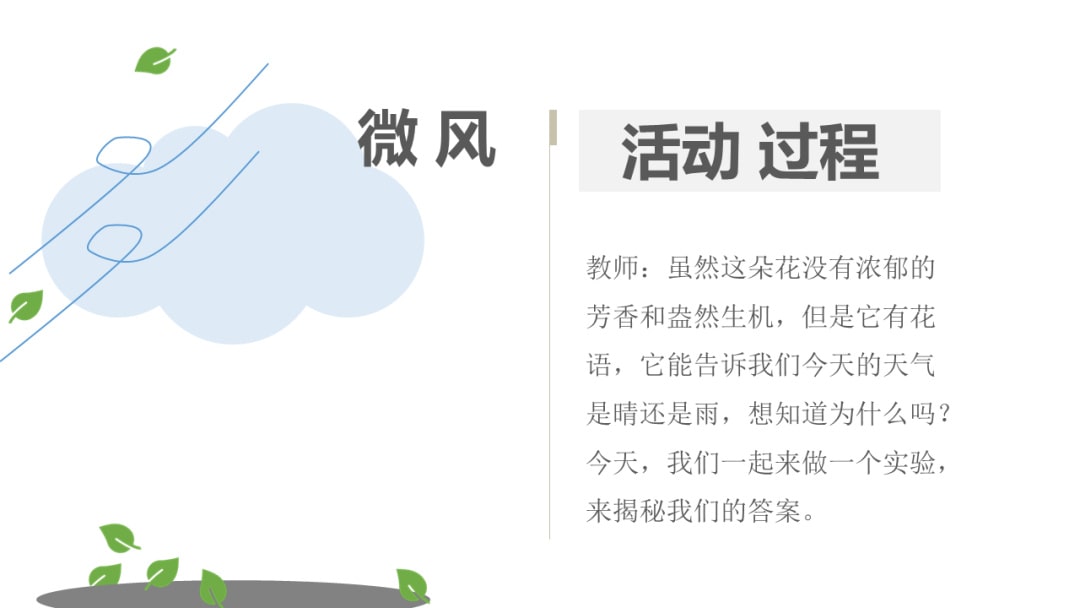 幼儿园中班科学教案：神奇的晴雨花