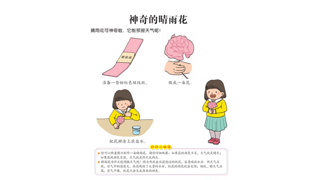 幼儿园中班科学教案：神奇的晴雨花