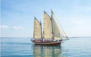 经典书籍推荐：这份书单，少看一本都是遗憾