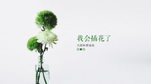 幼儿园大班科学教案：我会插花了（含PPT课件图片）