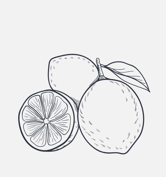 幼儿园中班数学教案：2和3的组成与分解