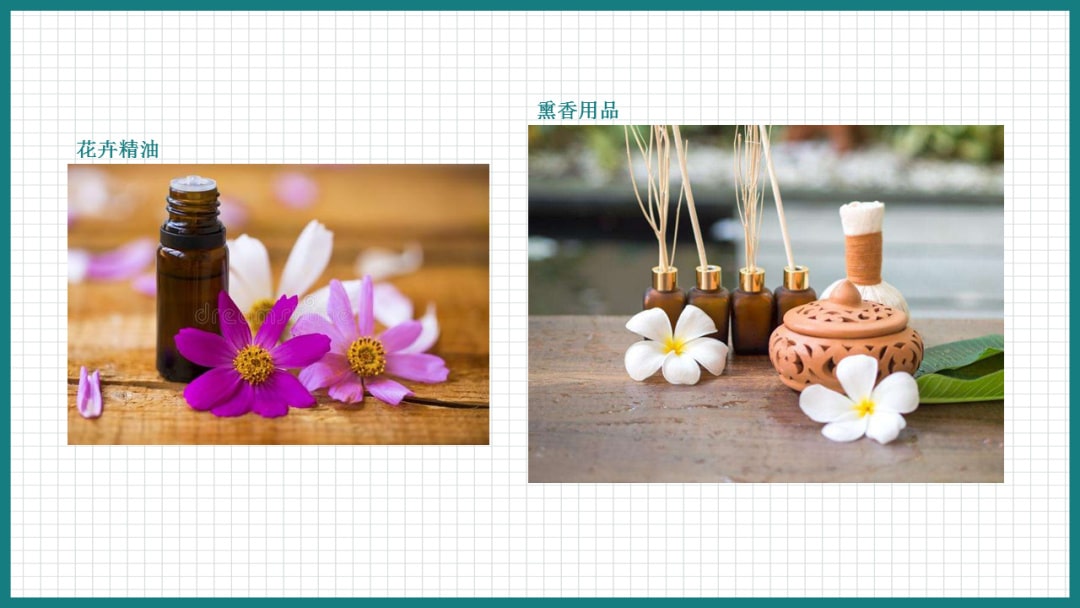 幼儿园中班科学教案：花仙子礼品店