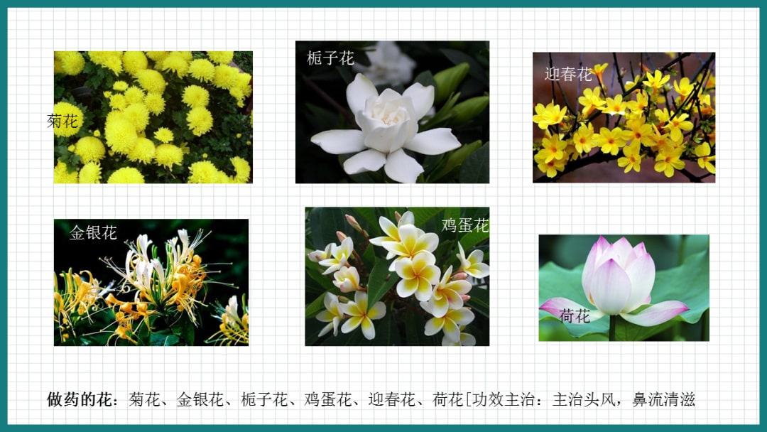 幼儿园中班科学教案：花仙子礼品店