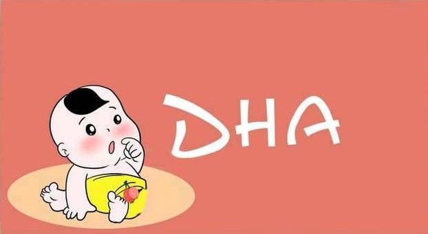 婴儿多大可以补充dha