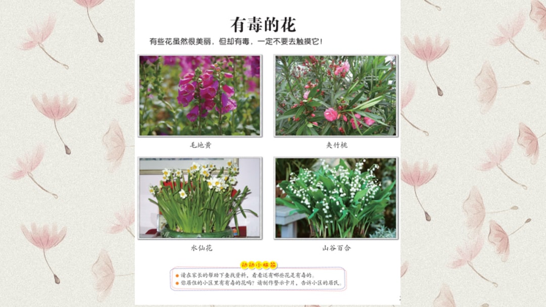 幼儿园中班科学教案：有毒的花