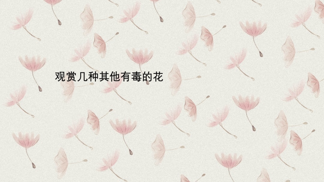 幼儿园中班科学教案：有毒的花