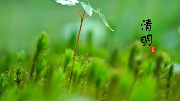 幼儿园2023年清明节放假通知及注意事项