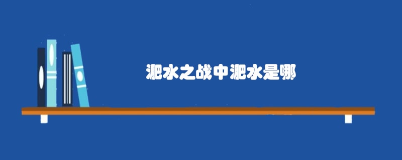 淝水之战中淝水是哪