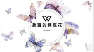 幼儿园中班社会教案：美丽的蝴蝶花（含PPT课件