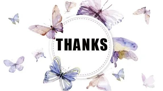 幼儿园中班社会教案：美丽的蝴蝶花