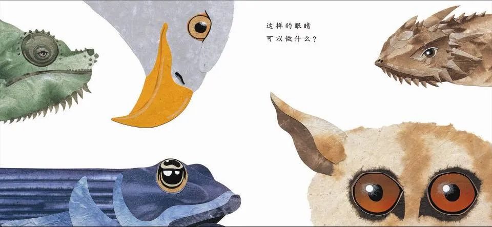 儿童绘本故事推荐《这样的尾巴可以做什么？》